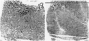 fingerprints