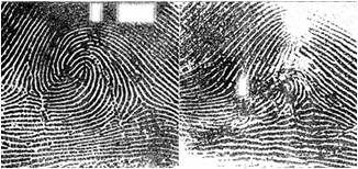 fingerprints