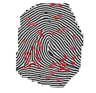 Minutiae Fingerprints