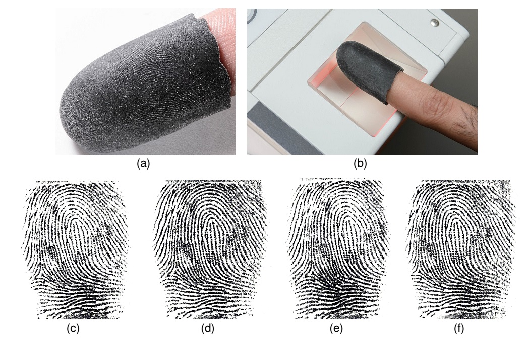 fingerprints