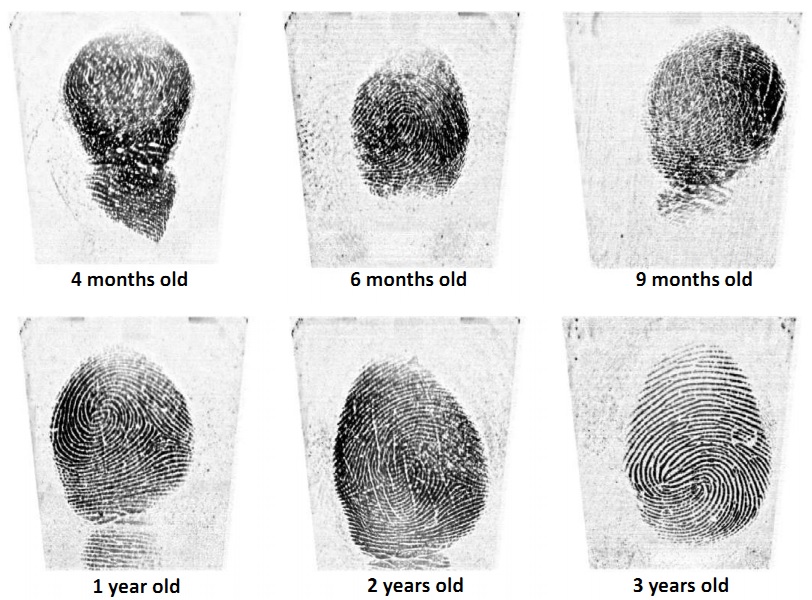 fingerprints